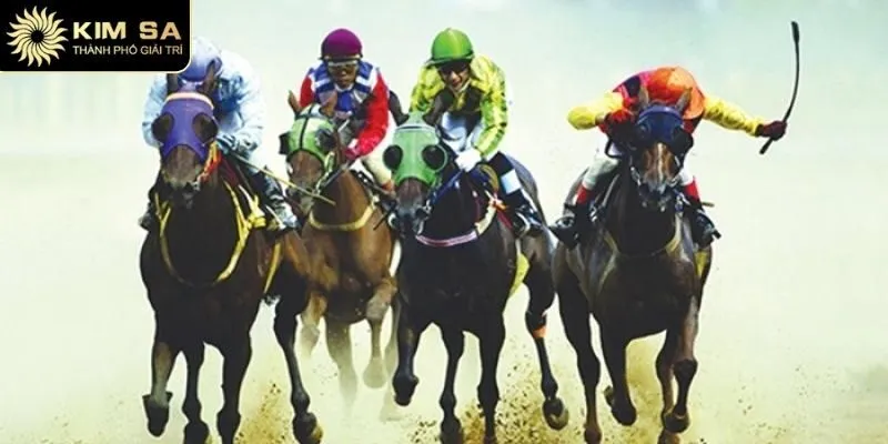 Đua Ngựa Kimsa - Kèo Cực Chuẩn, Trả Thưởng Hấp Dẫn 2025 3 Cần nắm rõ các mẹo trong đua ngựa Kimsa để có cơ hội thắng
