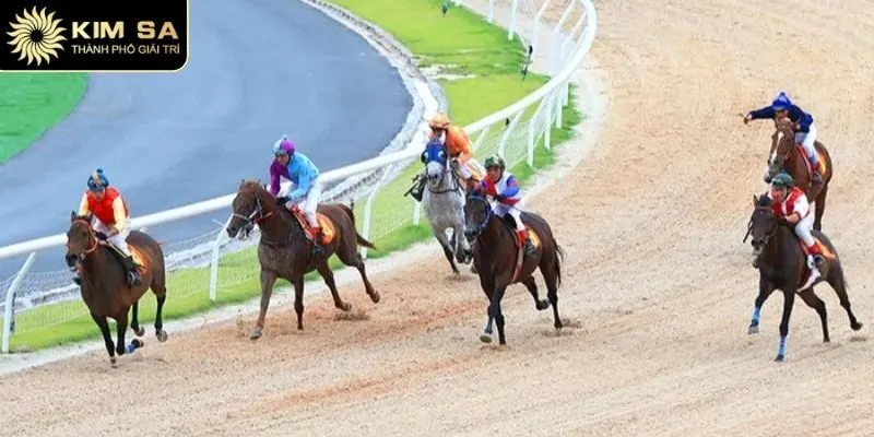 Đua Ngựa Kimsa - Kèo Cực Chuẩn, Trả Thưởng Hấp Dẫn 2025 2 Đa dạng hình thức giao kèo, hội viên thoải mái lựa chọn