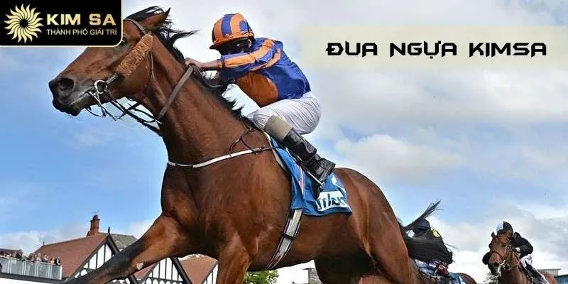 Đua Ngựa Kimsa - Kèo Cực Chuẩn, Trả Thưởng Hấp Dẫn